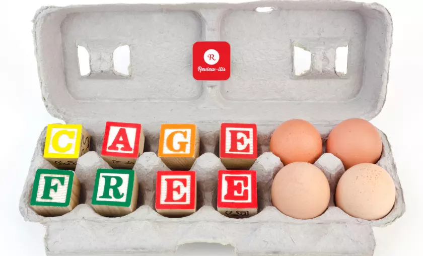 Cage-Free Eggs Review-Itis