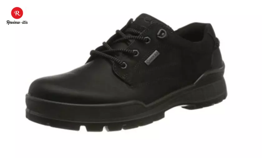 Ecco Walking Hiking Shoe