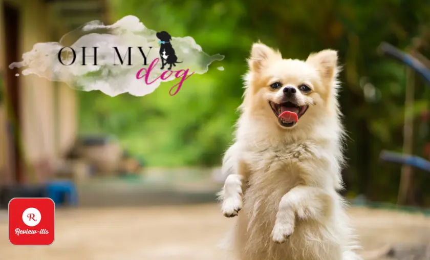 Oh My Dog - Review-Itis
