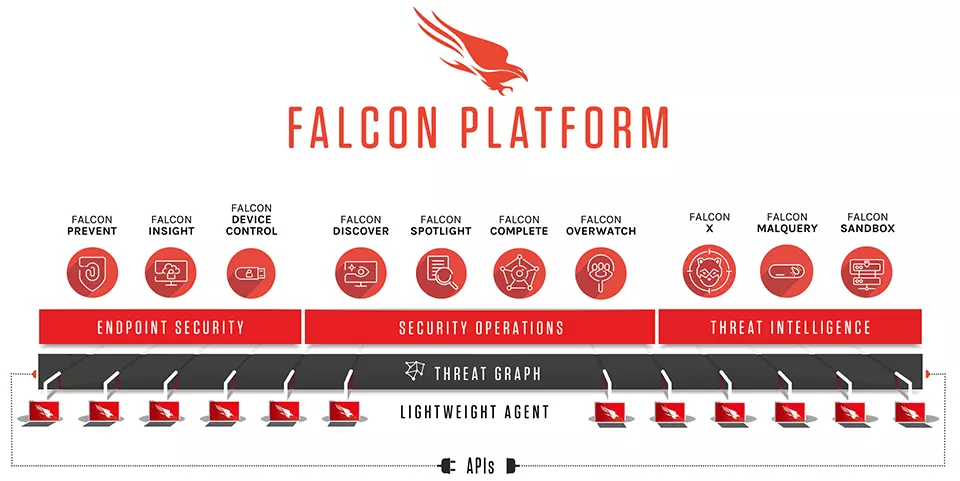 Privacy & Security CrowdStrike Review-Itis