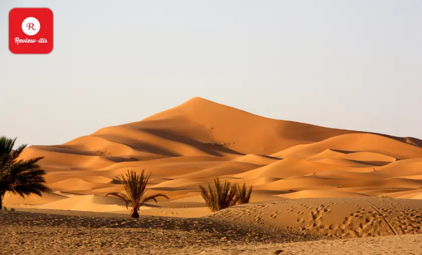 Sahara Desert - Review-Itis