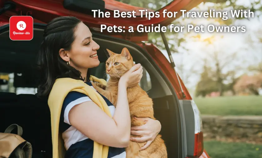 The Best Tips for Traveling With Pets: a Guide for Pet Owners - Review-Itis