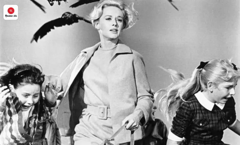 The Birds (1963) Review-Itis
