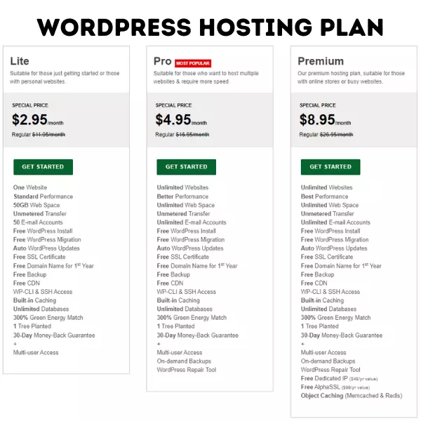 GreenGeeks WordPress Hosting Plan