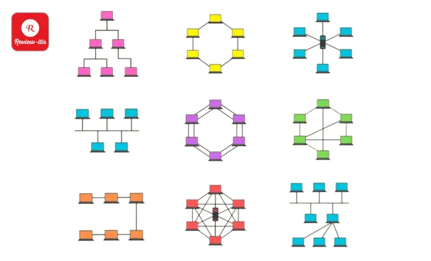 Network Topologies By Review -itis