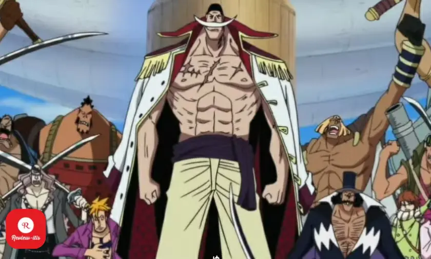 whitebeard pirates