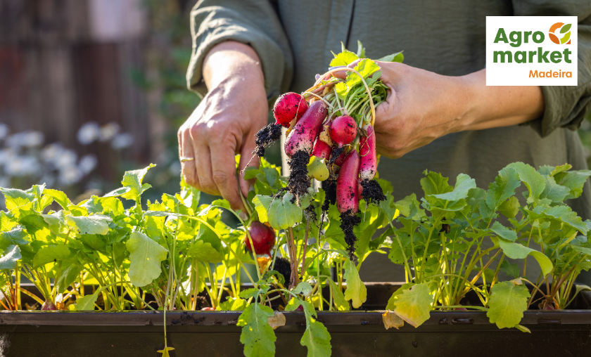 Why People Love Agromarket!