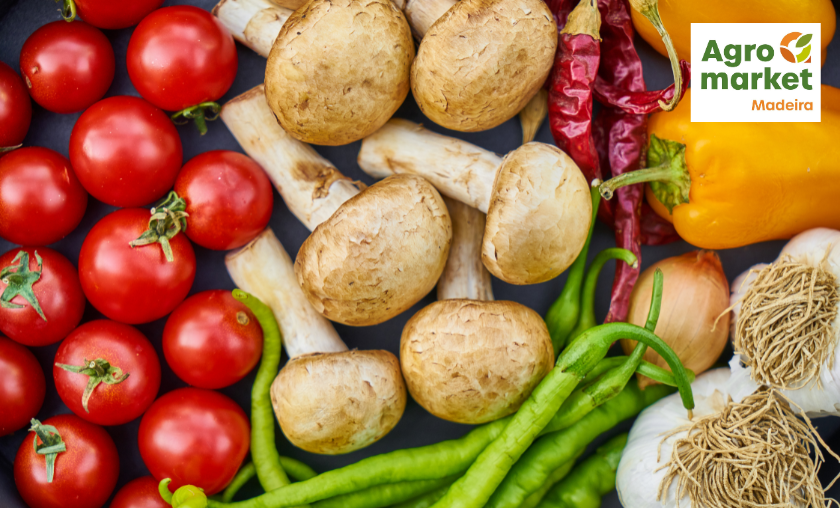 Agromarket Review — Comprehensive Solutions for Modern Farming