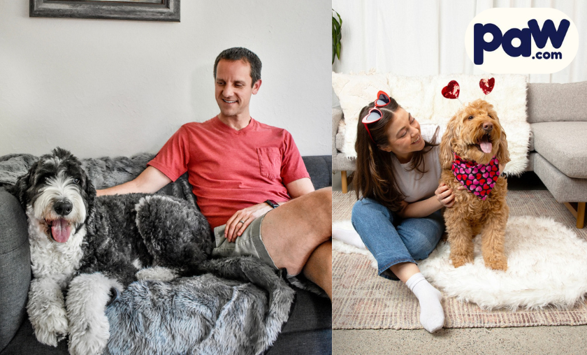 Why Pet Lovers Adore Paw.com!