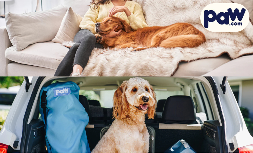 Top Reasons to Choose Paw.com!