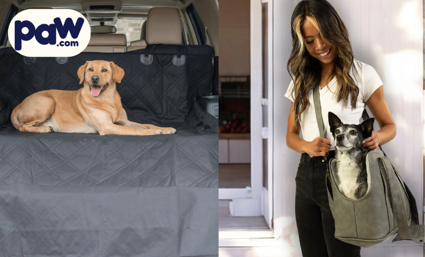 How Paw.com Makes Life Better!