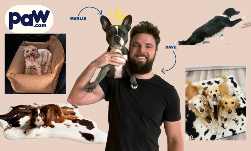 The Story Behind Paw.com!