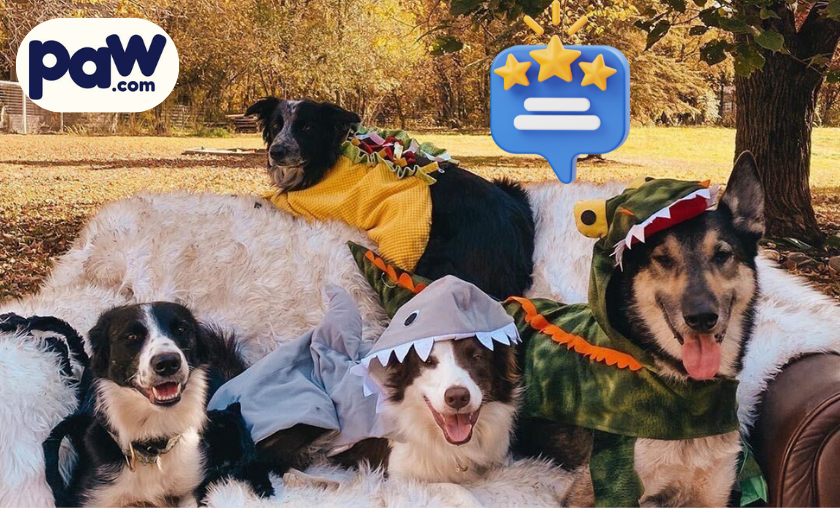 What Pet Parents Are Saying!