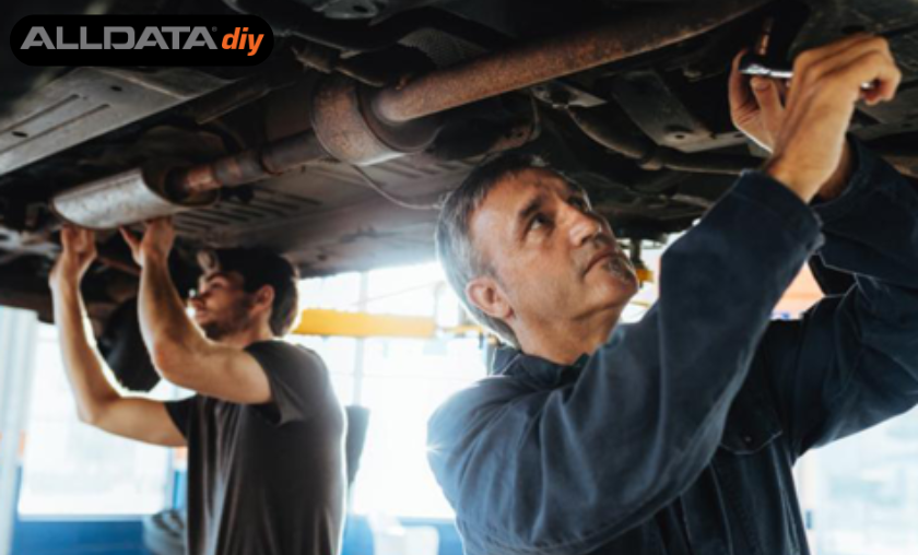 Reasons to Choose ALLDATAdiy!