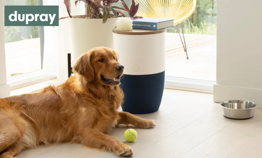 Why People Love Dupray