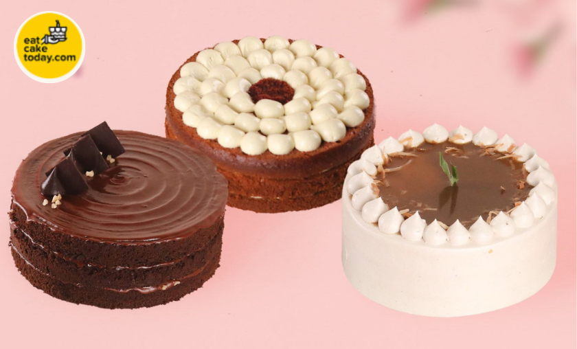 Eat Cake Today Brand Review: Freshness and Convenience Delivered