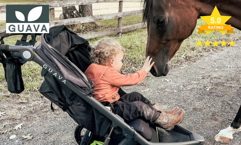 What Parents Say About Guava Family