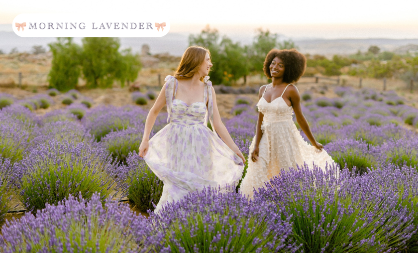 Morning Lavender Review – Romance in Everyday Style