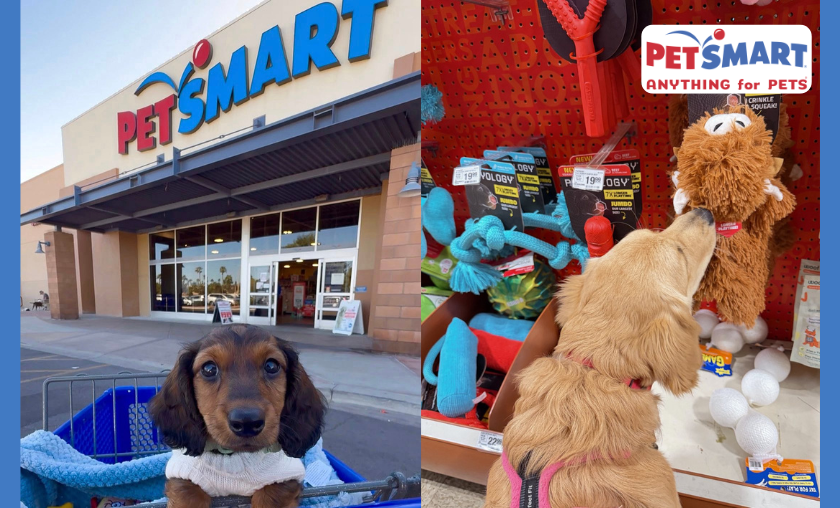 Products Offered by PetSmart 