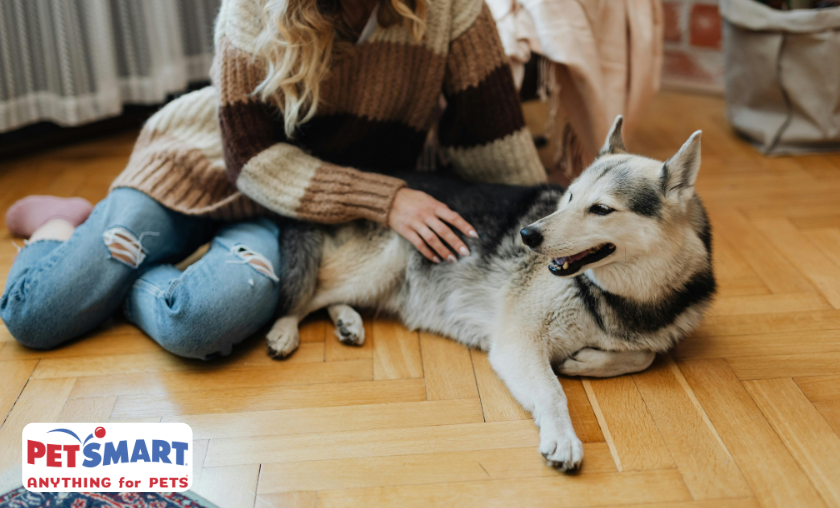 PetSmart Review – Making Pet Care Easier and More Enjoyable