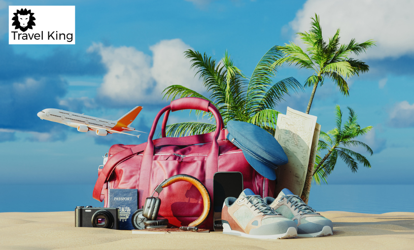 TravelKing Review — Travel Essentials at Your Fingertips
