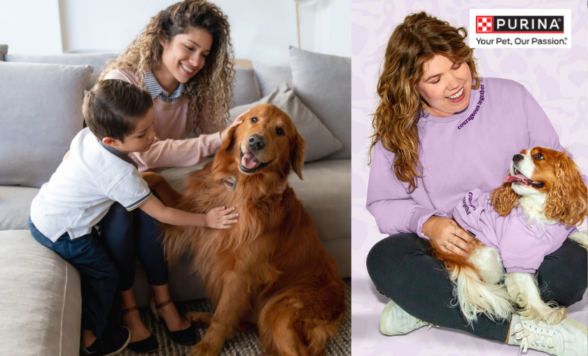 Why Customers Choose Purina