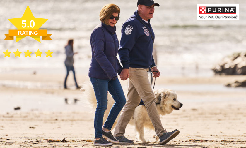 What Customers Say About Purina