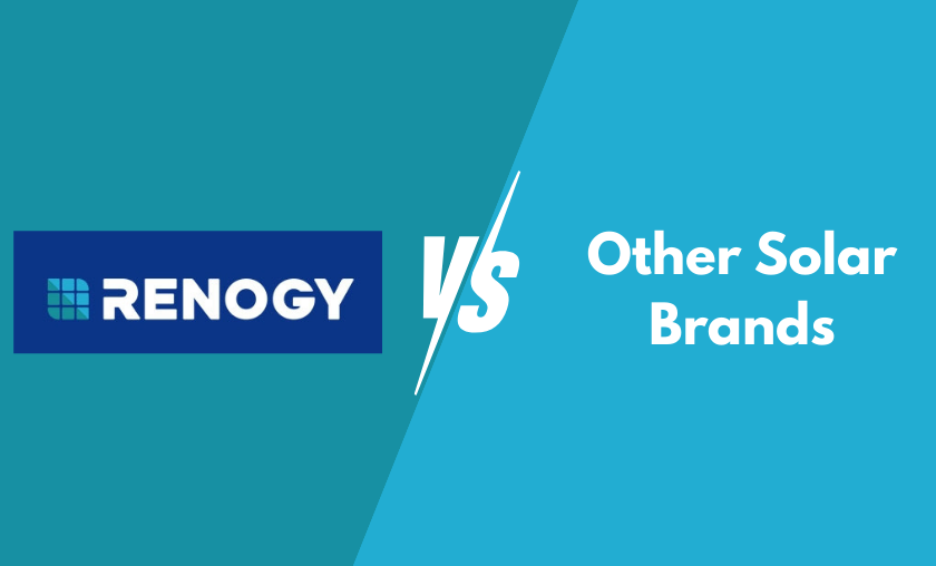 Renogy vs Other Solar Brands
